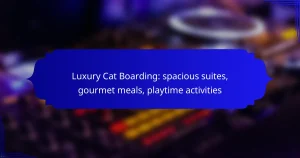 Luxury Cat Boarding: spacious suites, gourmet meals, playtime activities