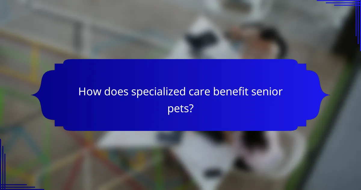 How does specialized care benefit senior pets?