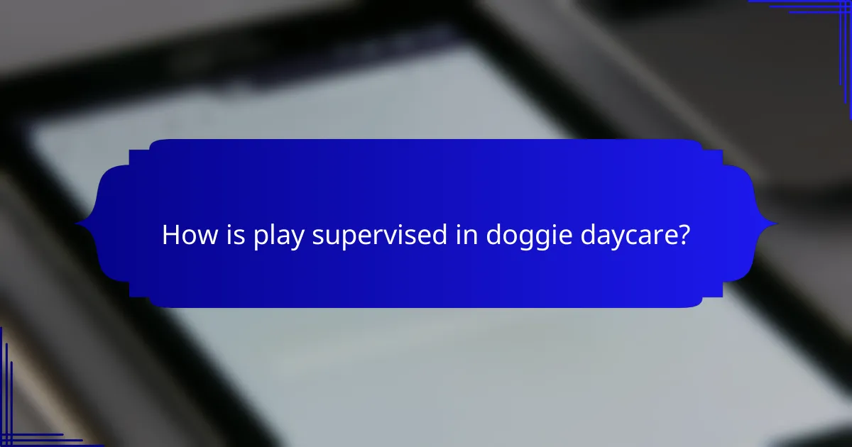 How is play supervised in doggie daycare?