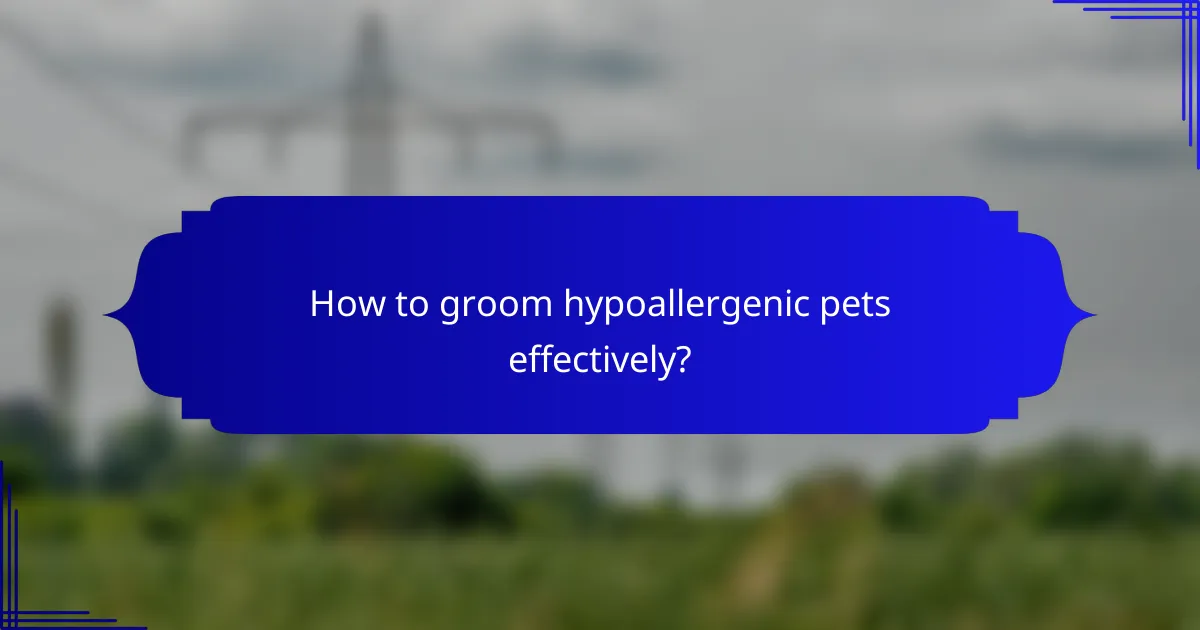 How to groom hypoallergenic pets effectively?