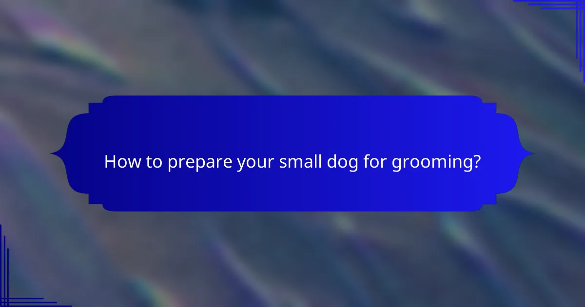 How to prepare your small dog for grooming?