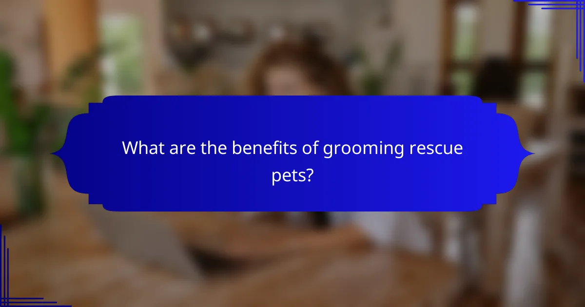What are the benefits of grooming rescue pets?