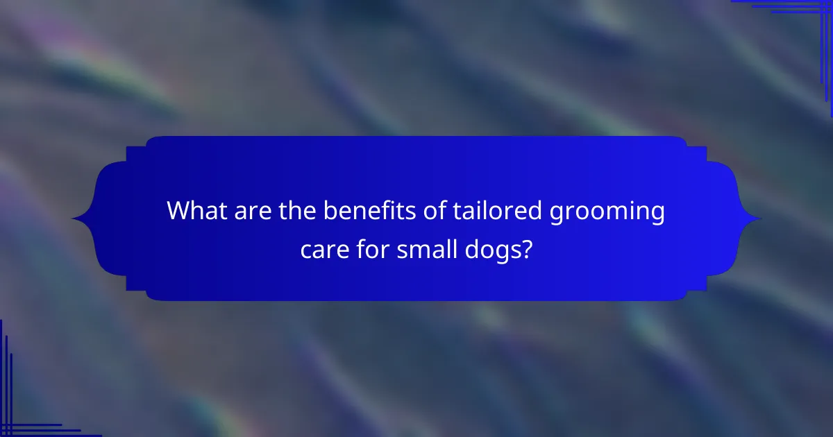 What are the benefits of tailored grooming care for small dogs?