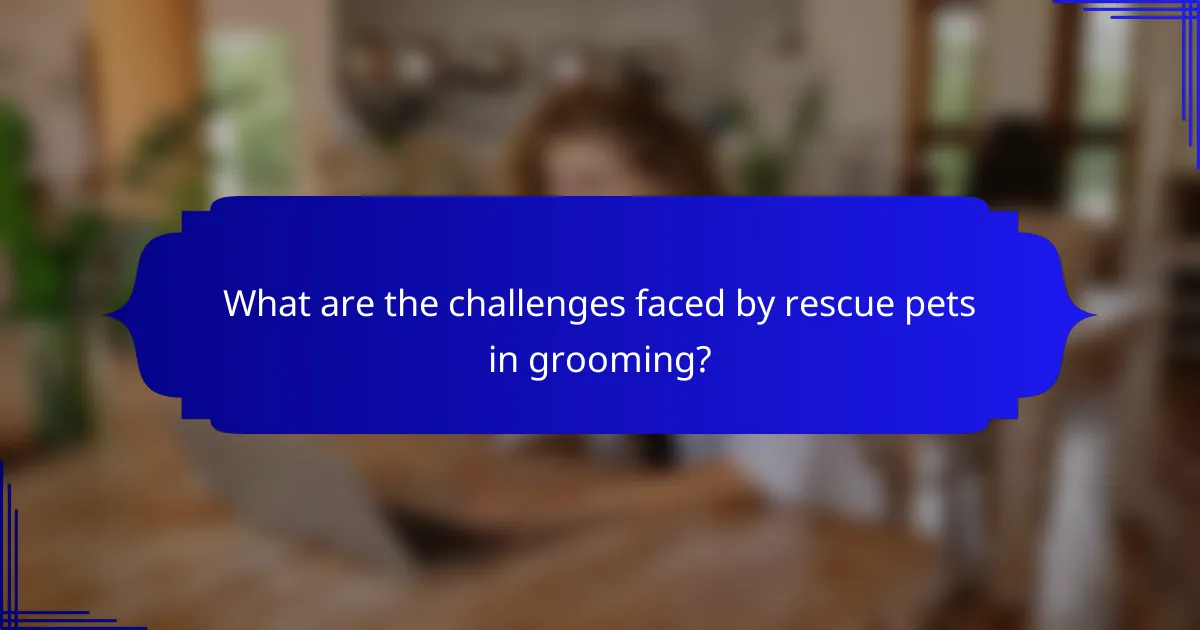 What are the challenges faced by rescue pets in grooming?