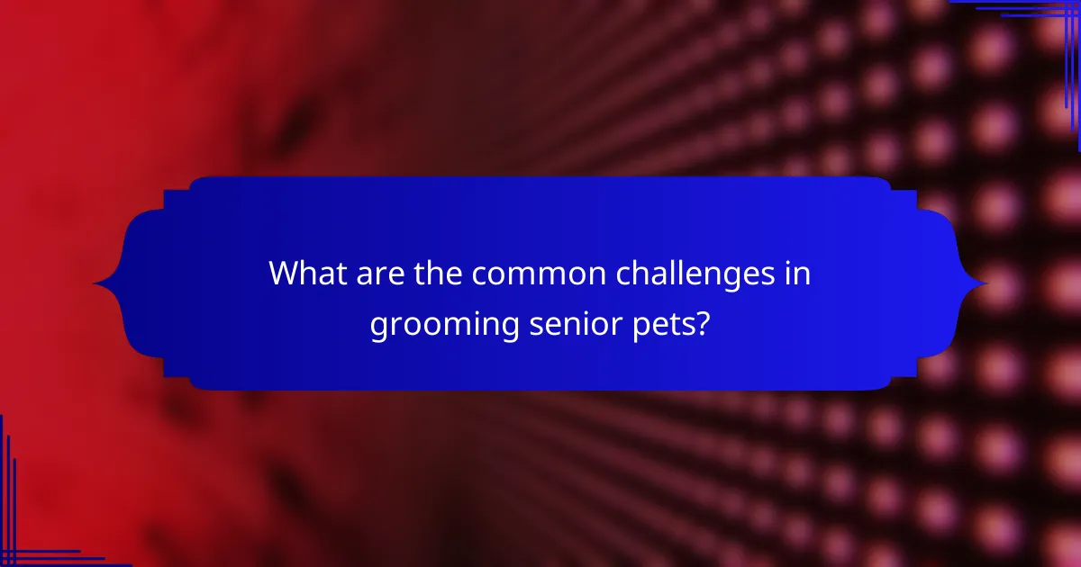 What are the common challenges in grooming senior pets?