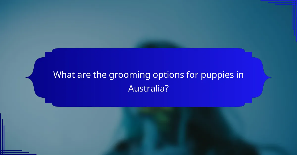 What are the grooming options for puppies in Australia?