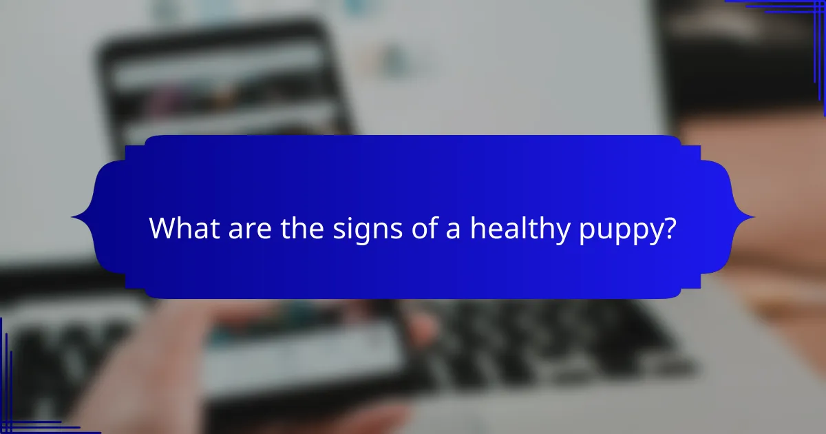 What are the signs of a healthy puppy?
