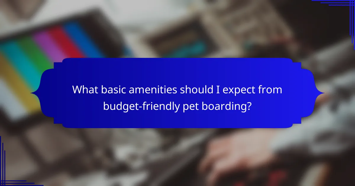 What basic amenities should I expect from budget-friendly pet boarding?