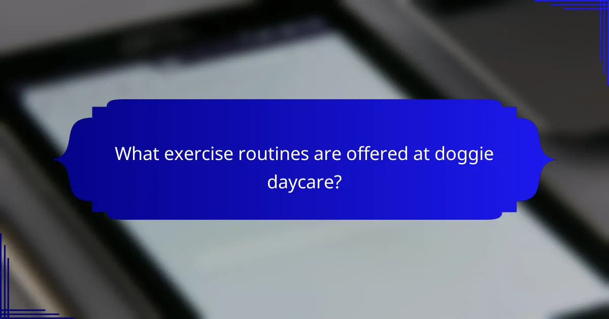 What exercise routines are offered at doggie daycare?