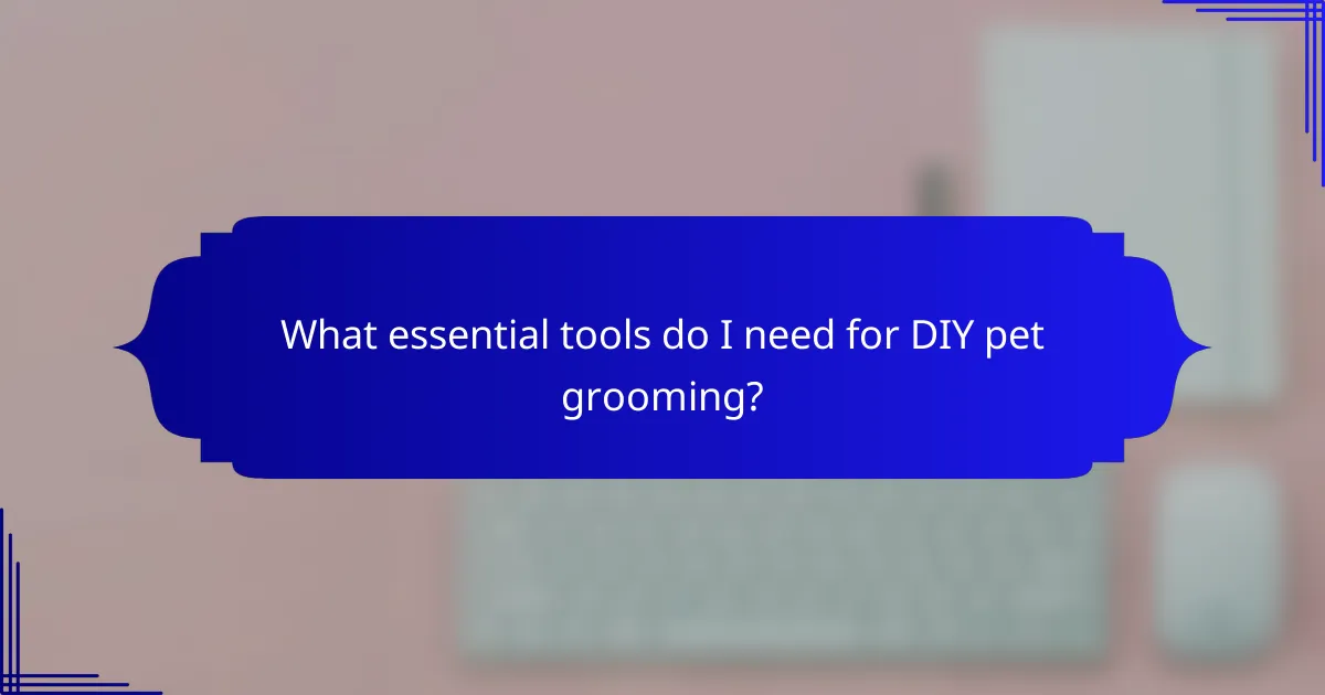 What essential tools do I need for DIY pet grooming?