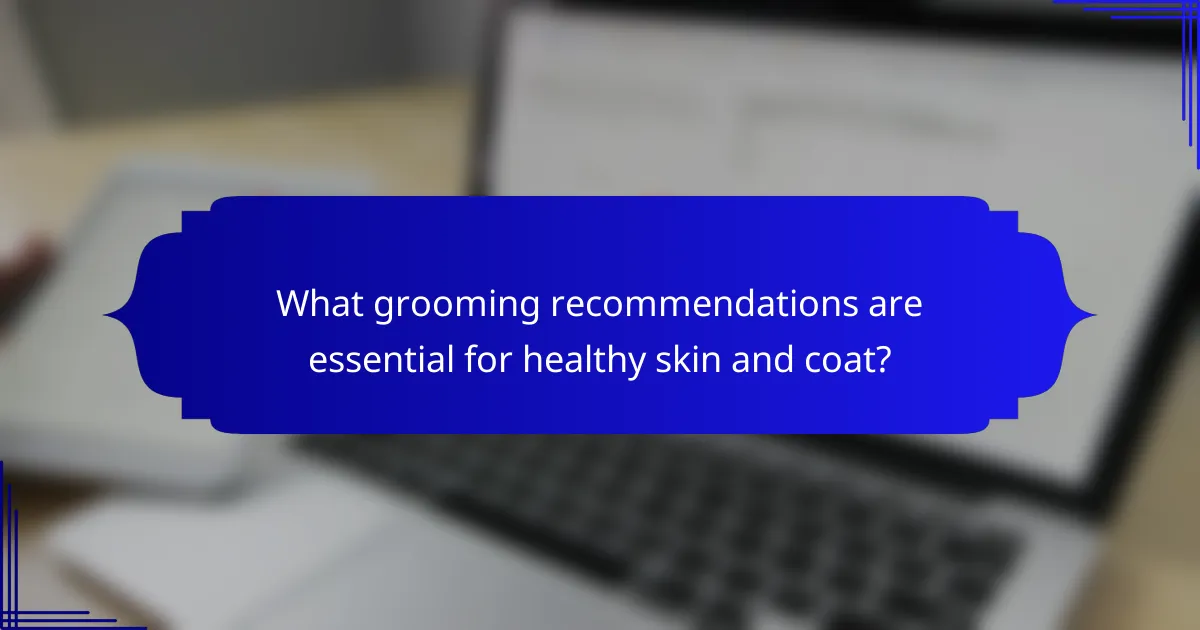 What grooming recommendations are essential for healthy skin and coat?