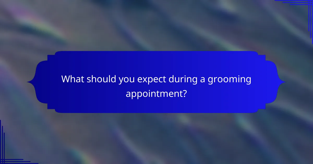 What should you expect during a grooming appointment?
