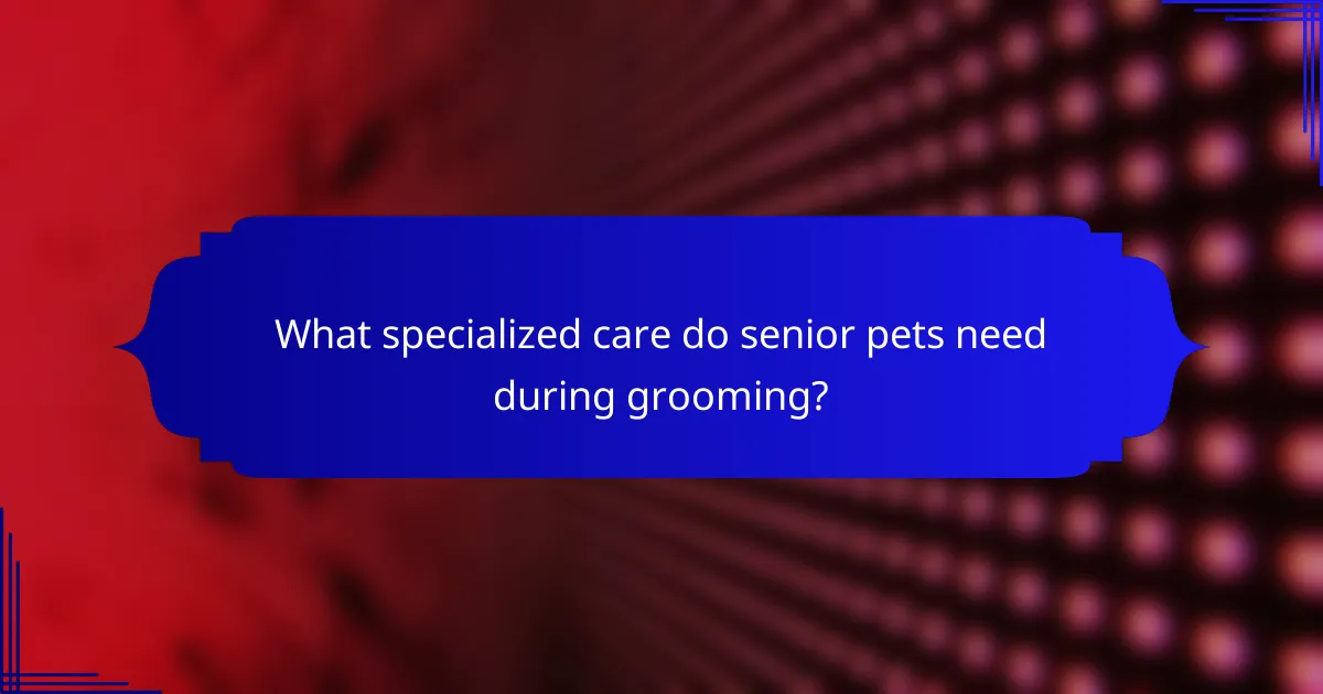 What specialized care do senior pets need during grooming?