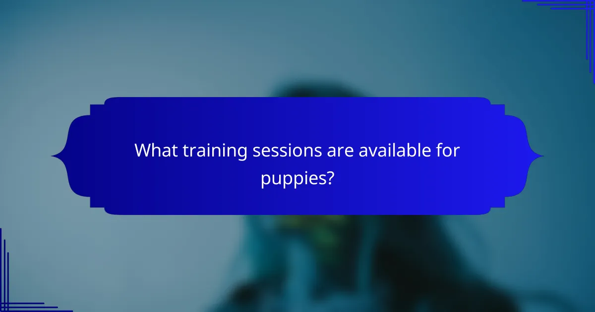 What training sessions are available for puppies?